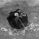 Image for article titled The First Animals In Space